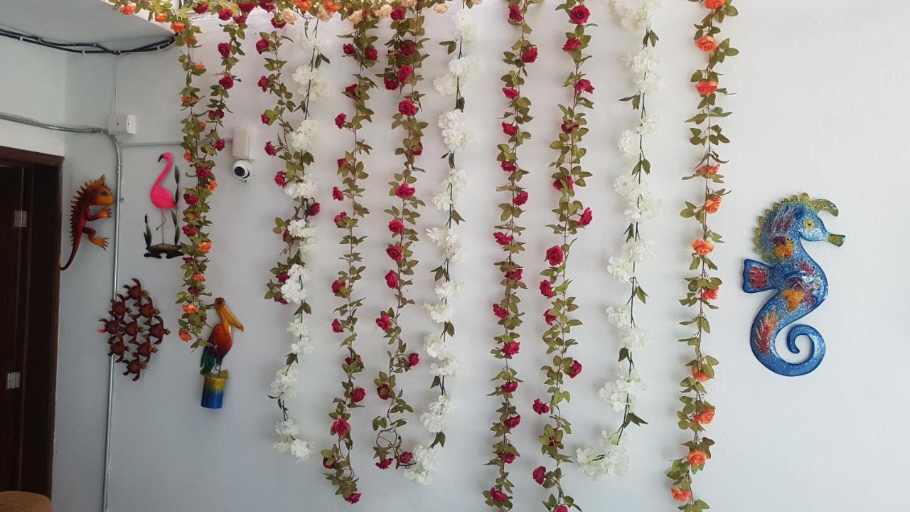 מזטלן Posada Bugambilia מראה חיצוני תמונה